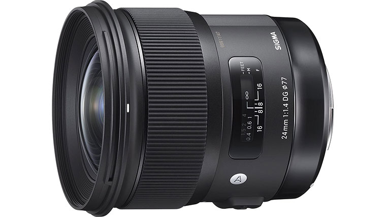 Best Nikon Lens for Beginners: Top 10 Starter Lenses (2025)